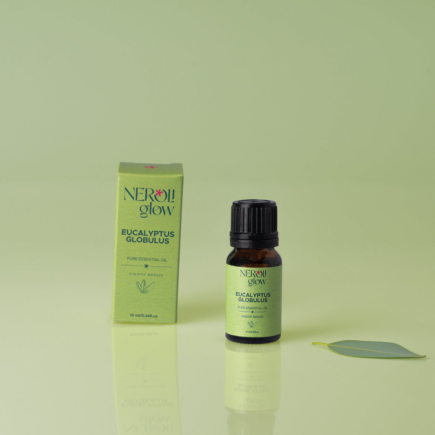Eucalyptus Globulus Essential Oil