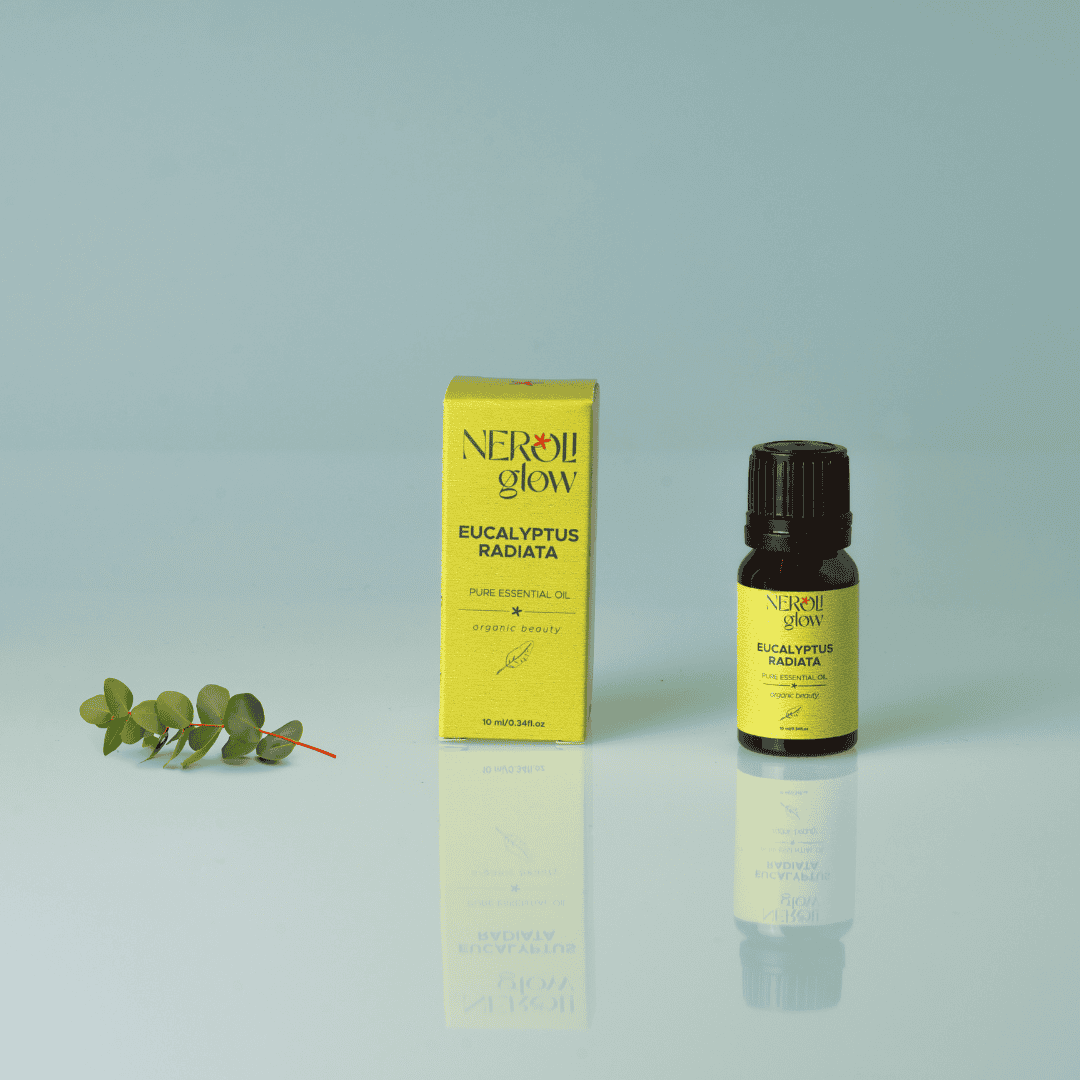 Eucalyptus Radiata Essential Oil